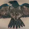 Dan Markel - @dan.markel - TikTok