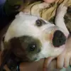 Danny Marks - @danny.marks8 - TikTok