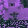 dannymarsbar - @dannymarsbar - TikTok
