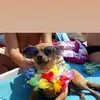 Danny Martello - @dannymartello3222211111 - TikTok