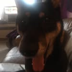 Danny Martyn - @dmartyn1 - Instagram