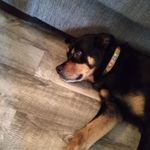 Danny Marx - @danny.54971 - Instagram