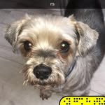 Danny Marx - @dannymarx21 - Instagram