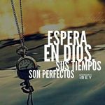 Danny Marx - @dannymarx14 - Instagram