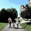dannymarx58 - @dannymarx58 - TikTok