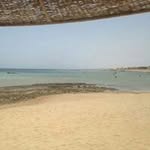 Danny Maset - @danny_maset - Instagram