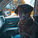 Danny Matheny - @foxhunter376 - Instagram