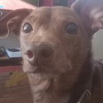 Danny Mathews - @danny.math3ws - Instagram