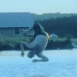 Danny Matlock - @dannymatlock - Instagram