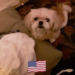 Danny Matlock - @danny.matlock.961 - Instagram