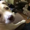 Danny Maye - @danny.maye5 - TikTok