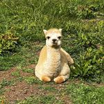 Danny Mayers - @danny_mayers_ - Instagram