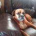 Danny Mayle - Facebook