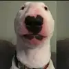 Danny Mayorga - @danny_mayorga2 - TikTok