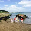 Danny McAuliffe - @dmac1979 - TikTok