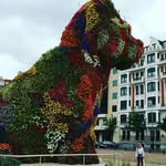Danny McCambridge - @dannymccam - Instagram