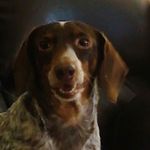 Danny McCarty - @danny.mccarty - Instagram