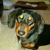 dannymccarty541 - @dannymccarty541 - TikTok