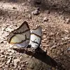 Danny_McClelland - @Danny_McClelland - TikTok