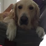 Danny McCool - @danny_triplet_mccool24 - Instagram