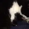 dannymccool - @mirabella9206063 - TikTok