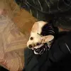 Danny McCormick - @danny.mccormick3 - TikTok