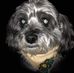 Danny McCoy - Facebook