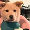 Dani McCraw - @dani.mccraw - TikTok