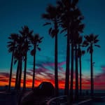 Danny Milligan - @danny.milligan - Instagram