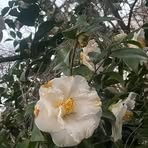 Danny Moore - Facebook