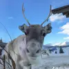 dannymoore256🐐👻 - @dannymoore256 - TikTok
