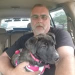 Danny Morse - @danny.morse.779 - Instagram