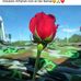Danny Moses - Facebook