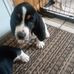 Danny Moses - Facebook