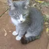 DannyMusembi561 - @dannymusembi23 - TikTok