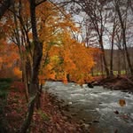 Danny Neely - @djn631 - Instagram
