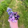 Danny_Newman - @danny_newman2 - TikTok