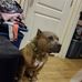 Danny Newman - Facebook