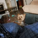Danny Norton - Facebook