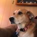 Danny Norton - Facebook