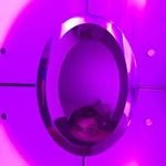 Danny Olson - @dannyolson - Instagram