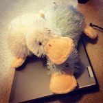 Danny & Oswald - @thegooglespals - Instagram