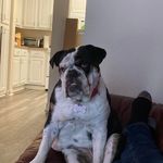 Danny Pace - @slurpeed27 - Instagram