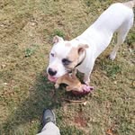 Danny Pace Jr. - @mr.dannypace - Instagram
