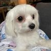 Danny Pak - @dannypak8 - TikTok