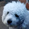 danny pantoja - @dannypantoja23 - TikTok