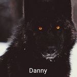 Danny Parks - @danny.parks88 - Instagram