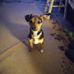 Danny Parks - Facebook
