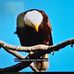 Danny Parks - Facebook
