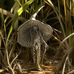 Danny Parnell - @dannyparn56 - Instagram